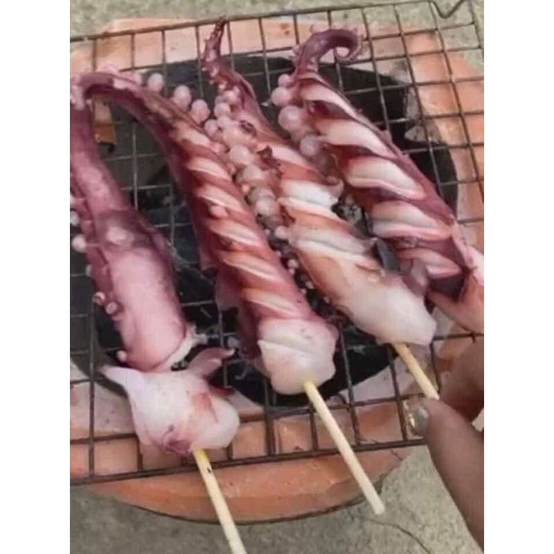 Râu tuộc khổng lồ 💥 GIÒN SẦN SẬT💥 net 7 giòn thơm hấp, xào,chiên