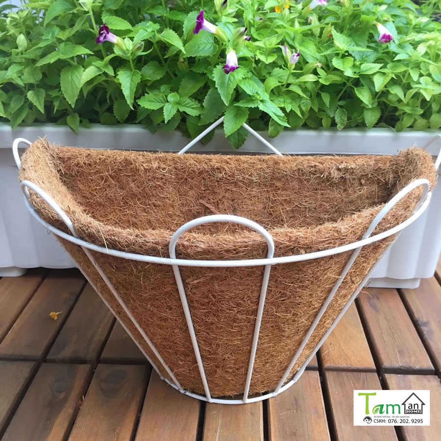 Chậu xơ dừa Taman Home, chậu trồng cây áp tường, chậu ốp tường, chậu treo tường size 32x22x18cm