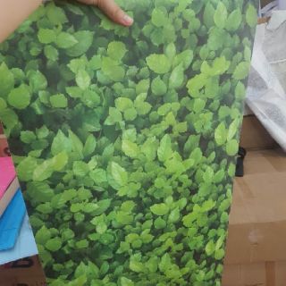 Giấy dán tường lá trà xanh 3D