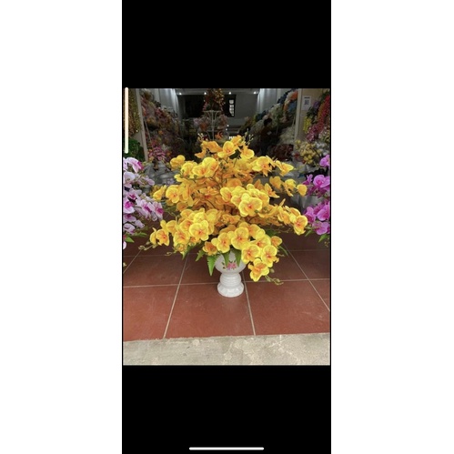Hoa Lan giả / Lan Hồ Điệp 3 nhánh cao cấp 12 bông hoa dài 105 cm