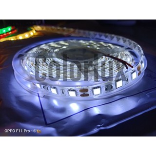 Cuộn Led dây dán 5050 12v dài 5m #leddây