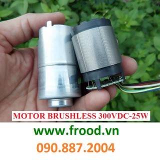 Động cơ từ Brushless phát điện 3 pha 25w