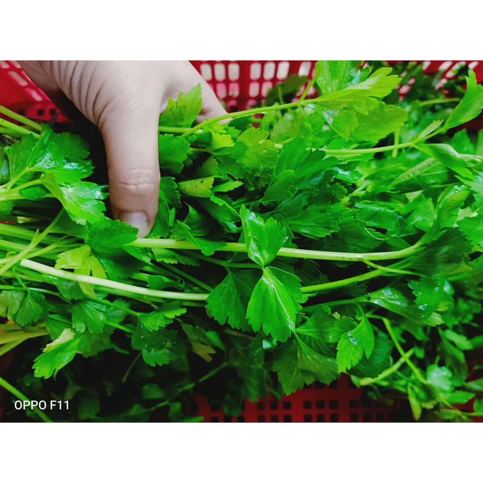 Bột Cần Tây 1kg
