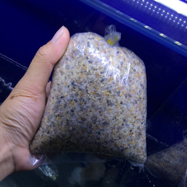 Sỏi trải nền 3 màu thuỷ sinh