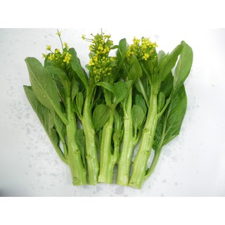 20G - Hạt Giống Cải ngọt Ăn Bông