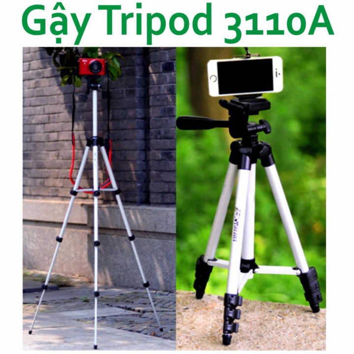 Chân máy ảnh Tripod 3110 tặng Giá kẹp điện thoại, Remote bluetooth và Túi đựng Chính Hãng