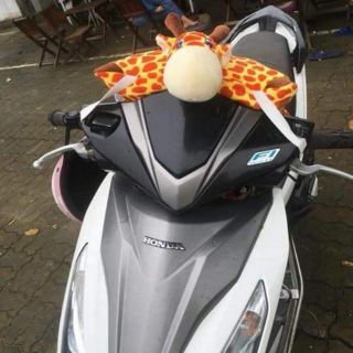 GỐI ĐI XE MÁY