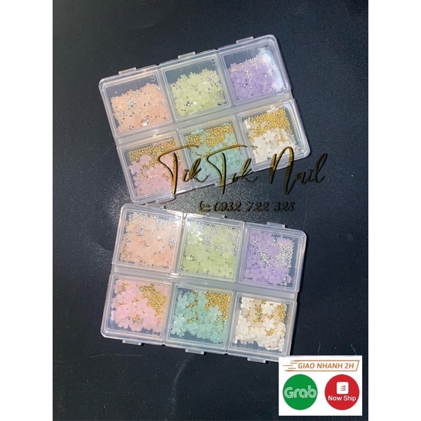 hoa nhí 6 màu trang trí móng