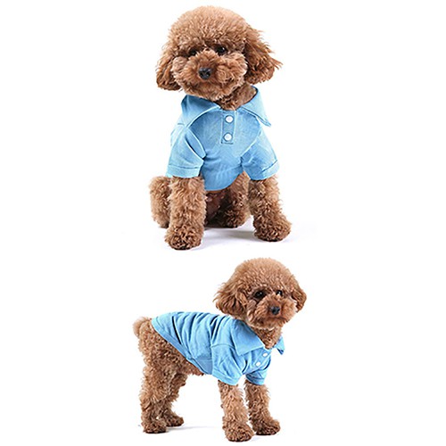 Áo Thun Đính Nút Cho Thú Cưng