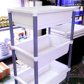 Kệ 3 tầng nuôi cá