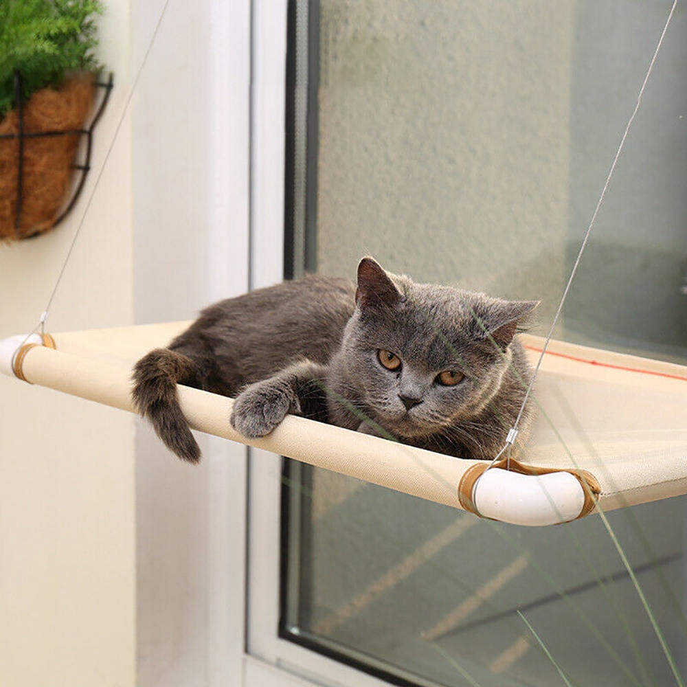 Võng treo cho mèo cưng có giác hút chân không gắn tường tiện lợi