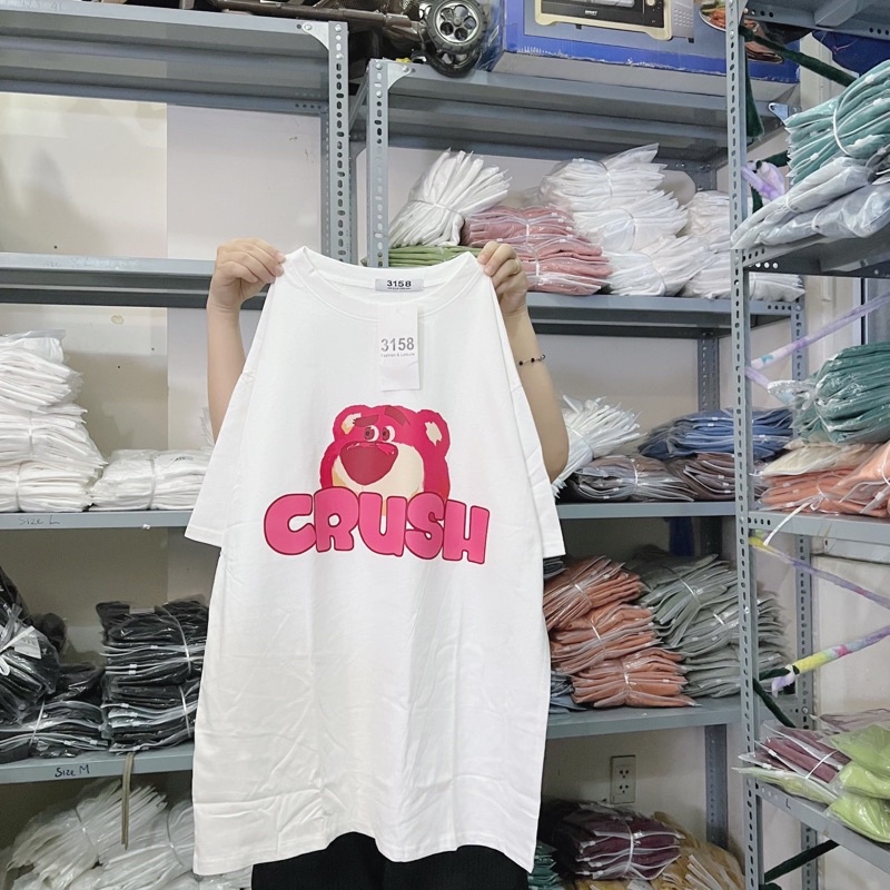 Áo Thun Tay lỡ form rộng  3158🌸IN LỤA 5D SẮC NÉT GẤU LOTSO CRUSH 🌸 chất cotton KHÔ 3158 thoáng mát