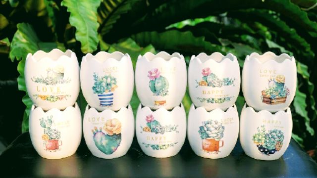 Chậu trồng cây hình trứng in hình siêu đẹp (hình ngẫu nhiên)