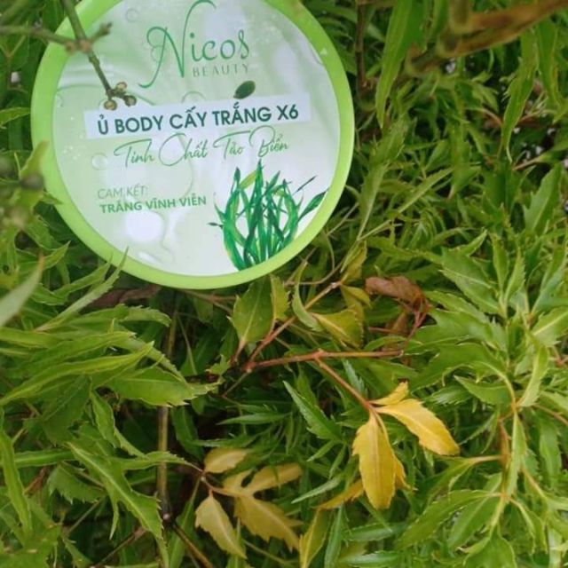 (Cam kết chính hãng) Ủ body cấy trắng X6 | BigBuy360 - bigbuy360.vn