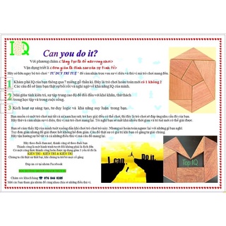 ĐỒ CHƠI TRÍ TUỆ-THÁCH ĐỐ IQ