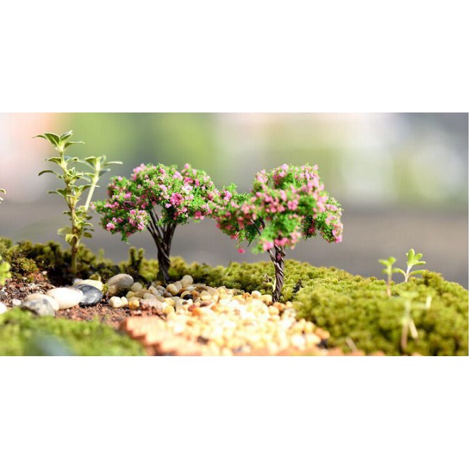 [Tiểu Cảnh] Cây Cảnh Mini Xinh Xắn - Phụ Kiện Trang Trí Tiểu Cảnh Sen Đá/Bonsai, Terrarium