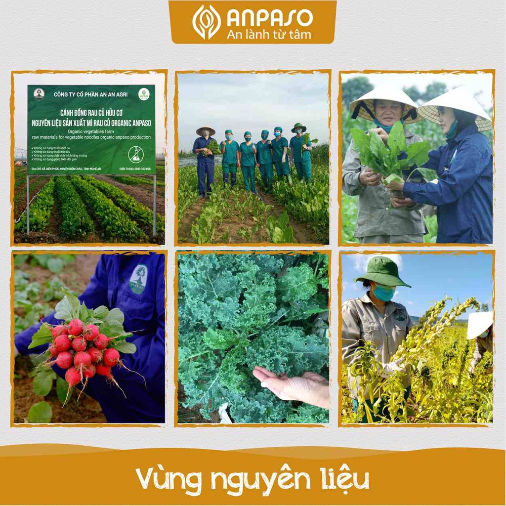 Mì Củ Nghệ Tự Nhiên Nguyên Chất Anpaso 120G, Ăn Chay, Giảm Cân, Tốt Cho Hệ Tiêu Hóa