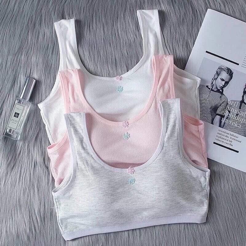 Áo Học Sinh Cotton Tăm Có Móc Cài Sau 6020