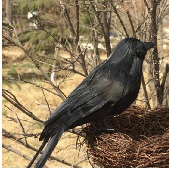 Anime Cosplay Demon Slayer: Kimetsu no Yaiba Naruto KamadoTanjirou Giyuu Zenitsu kanao prop