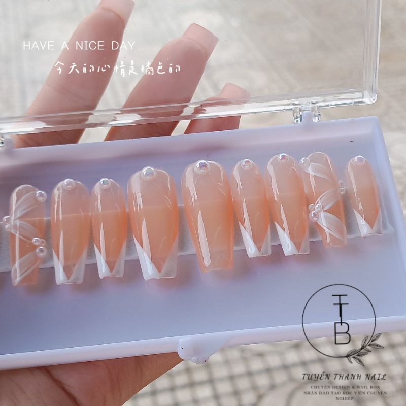 Nail box thiết kế đơn giản - kèm keo