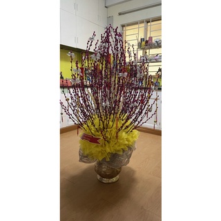 Bình Nụ Tầm Xuân Mini Để Bàn 50x50cm