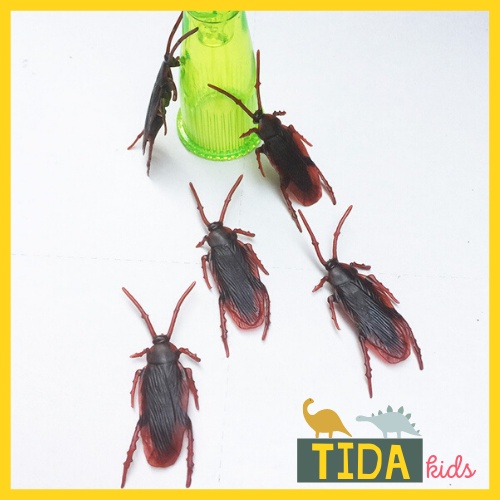 Combo 10 Gián Giả ⚡ Hot Trend ⚡ Đồ Chơi Côn Trùng Giả Bằng Nhựa, Trang Trí Halloween, Đồ Chơi Giải Trí TiDa Kid Shop