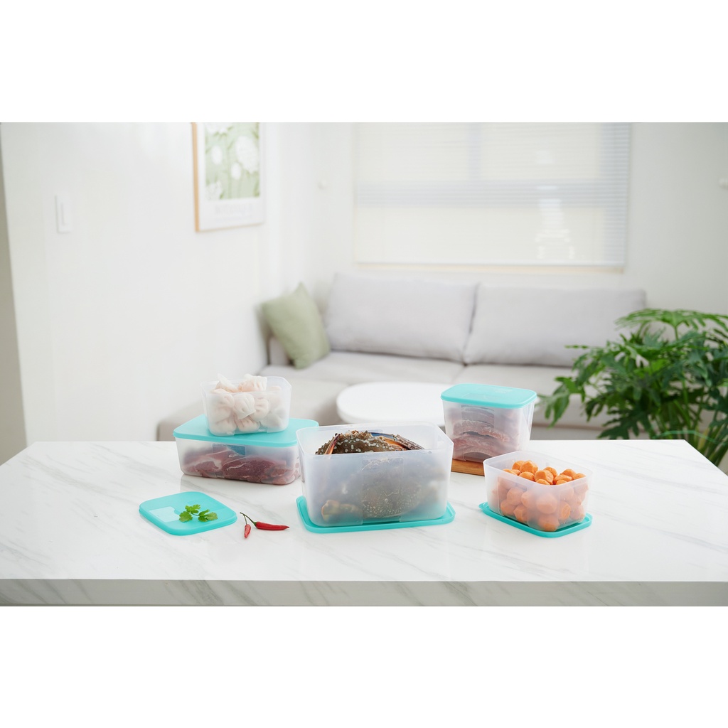 Bộ 5 hộp trữ đông Tupperware Paradise