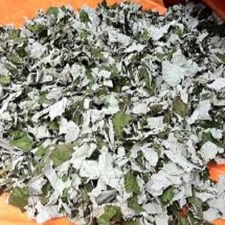 5kg Lá gai làm bánh