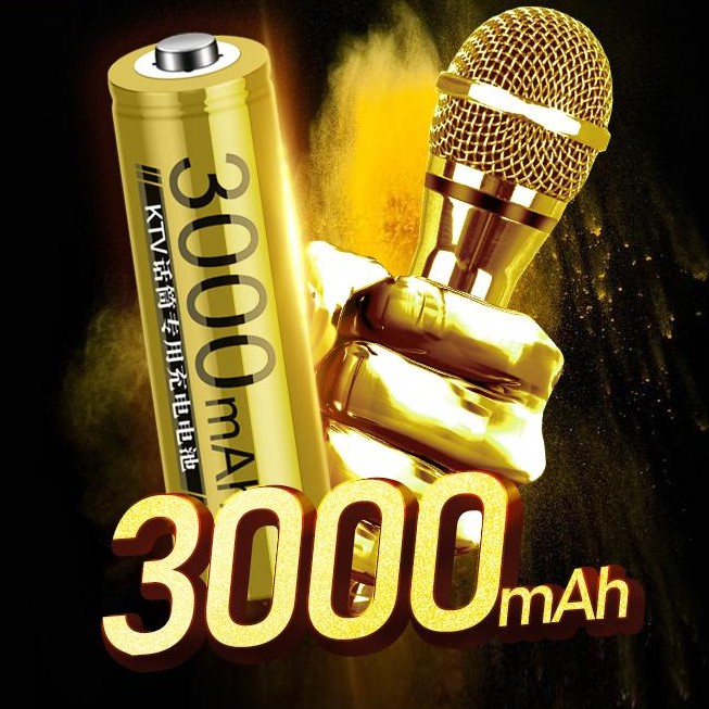 Bán Sỉ Pin AA 3000mah Hãng DOUBLEPOW Chất Lượng Cao Thích hợp cho KTV (micro karaoke)