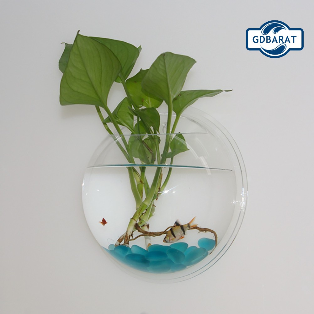 Bình Hoa Treo Tường Bằng Nhựa Acrylic Trong Suốt Thiết Kế Sáng Tạo Độc Đáo