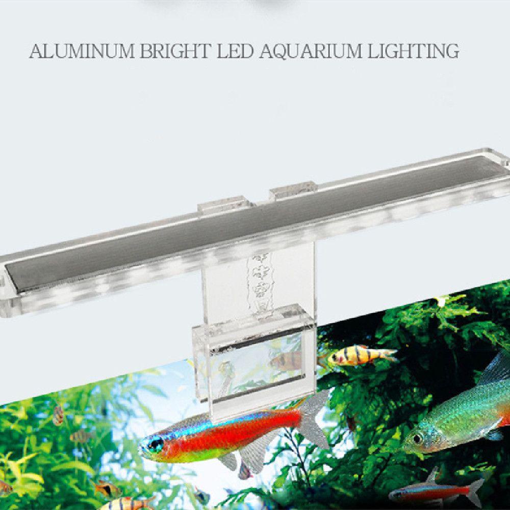 MUVAKO Đèn LED Mini Hình Trụ Bằng Acrylic Trang Trí Bể Cá
