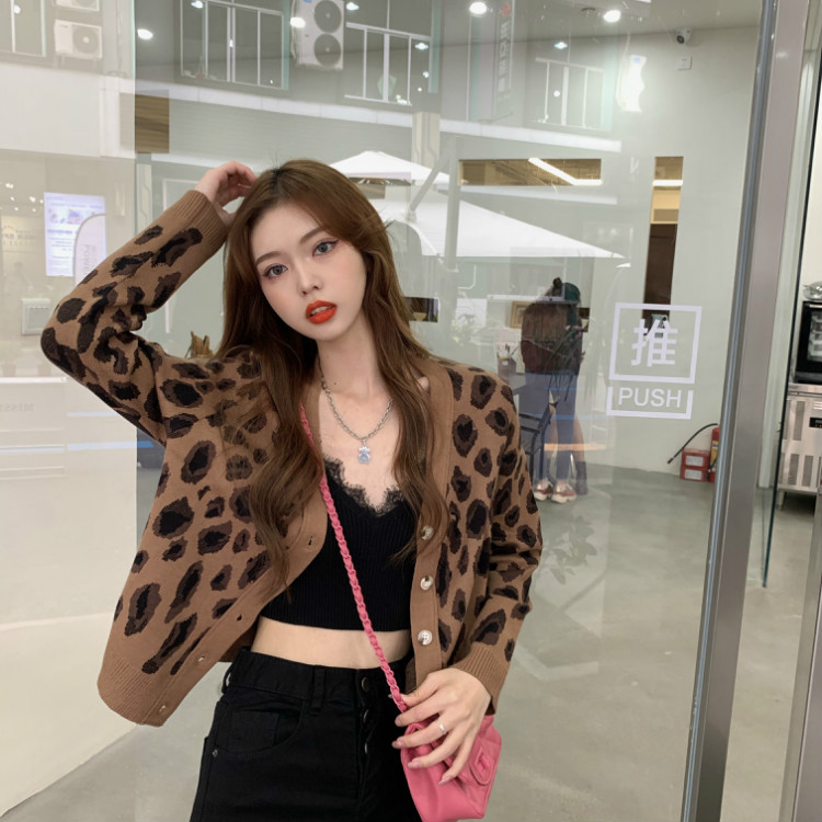 Áo Khoác Cardigan Dệt Kim Dáng Rộng Cổ Chữ V In Da Báo Retro Mùa Thu Hàn Quốc Dễ Phối Đồ Cho Nữ