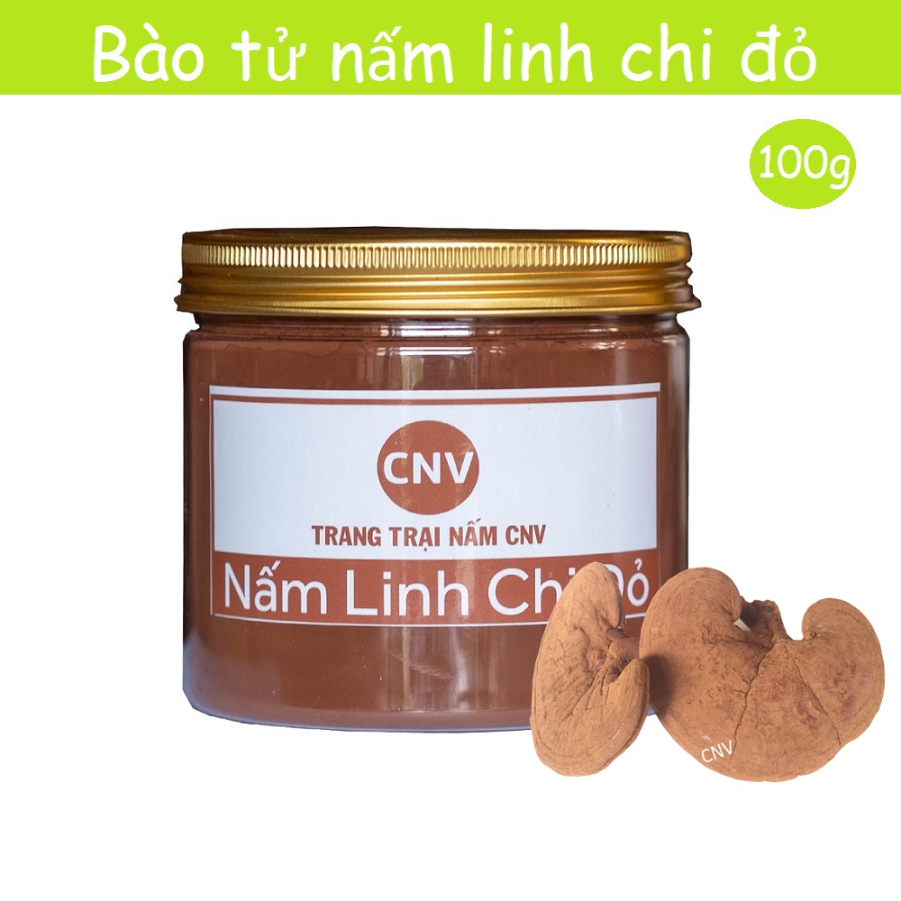 Bào tử nấm linh chi đỏ hộp 100g tỷ lệ 99,9%