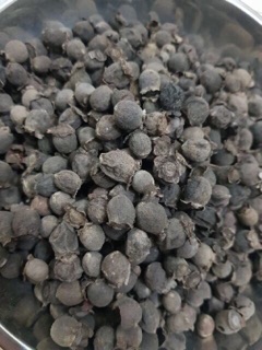 Sim chín khô ngâm rượu