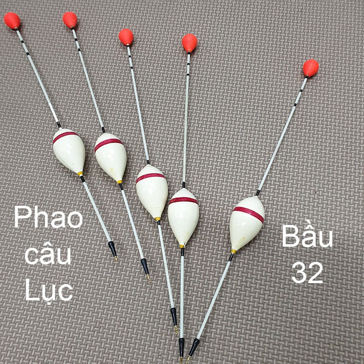 Phao câu cá, phao câu lục gần bờ bầu 32