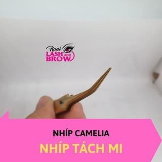 Nhíp Tách Mi Cho Người Mới - Chính Hãng Hani - Nhíp Camelia Giúp Nối Mi Thon Nhẹ Dễ Tách