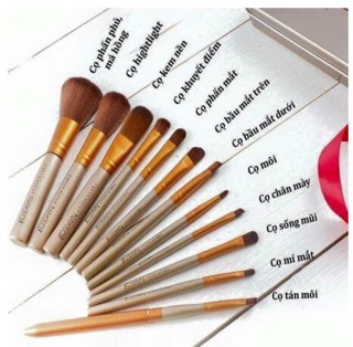 Bộ cọ NAKED3 - 12 Cây