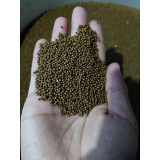 Cám tăng màu đỏ cho cá vàng và guppy - cám trộn - hỗ trợ tiêu hoá - túi zip 1kg - hcm