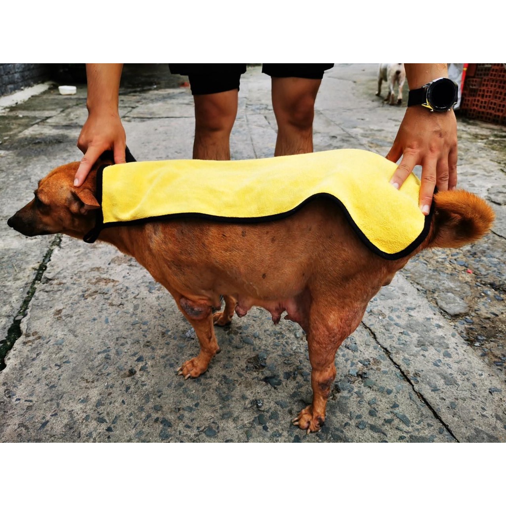 Khăn Tắm Chó Mèo Mềm Mịn Siêu Thấm Hút Microfiber Nhanh Khô, Không Rụng Lông