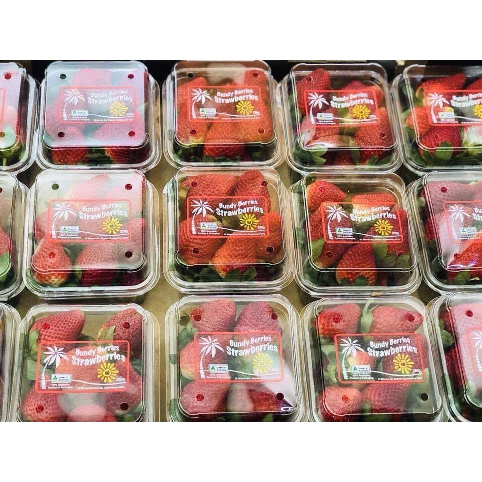 100 hộp nhựa đựng trái cây 250g- 300g P250A | BigBuy360 - bigbuy360.vn