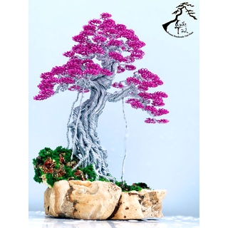 Chậu Bonsai handmade, làm quà tặng chưng tết siêu đẹp Quà tặng 02