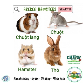 Vật liệu làm tổ cho thú nhỏ CHIPSY NESTING ACTIVE