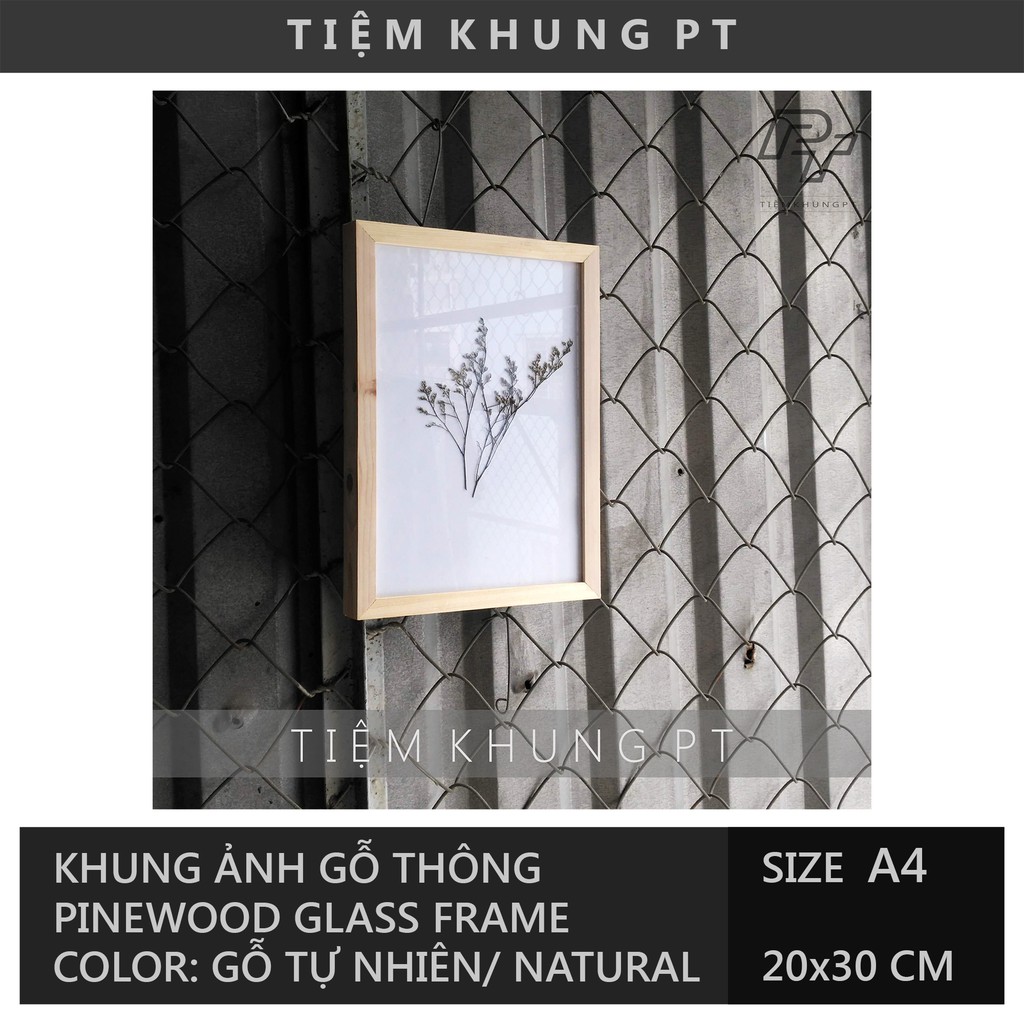 Khung ảnh A4 21x30 kèm Hoa khô - Khung hình gỗ thông mặt kính - Khung ảnh đẹp treo tường Picture Fra