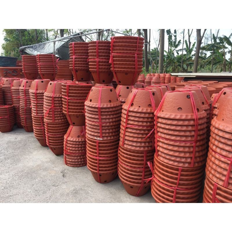 Chậu đất nung trồng hoa Lan, cây phong Lan, phong lan loại 1 Bát Tràng Size 20cm tặng kèm móc treo