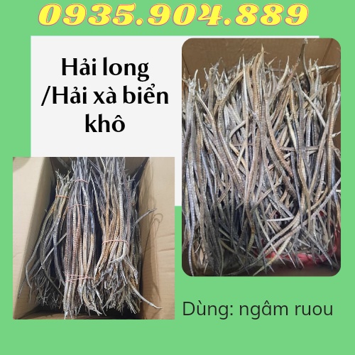 {Tặng 4 con sao biển} + 4 con hải long/hải xà biển khô dùng ngâm ruou