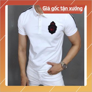 Áo thun nam tay dài cao cấp AT70