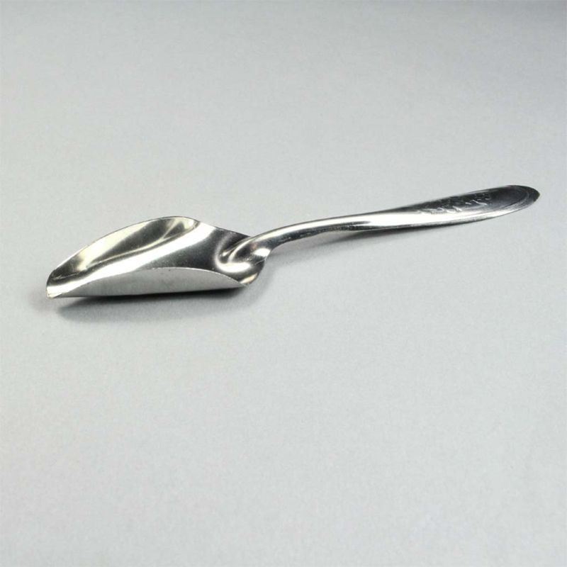 Bộ 5 Muỗng Ăn Bằng Thép Không Gỉ Tiện Dụng Cho Vẹt