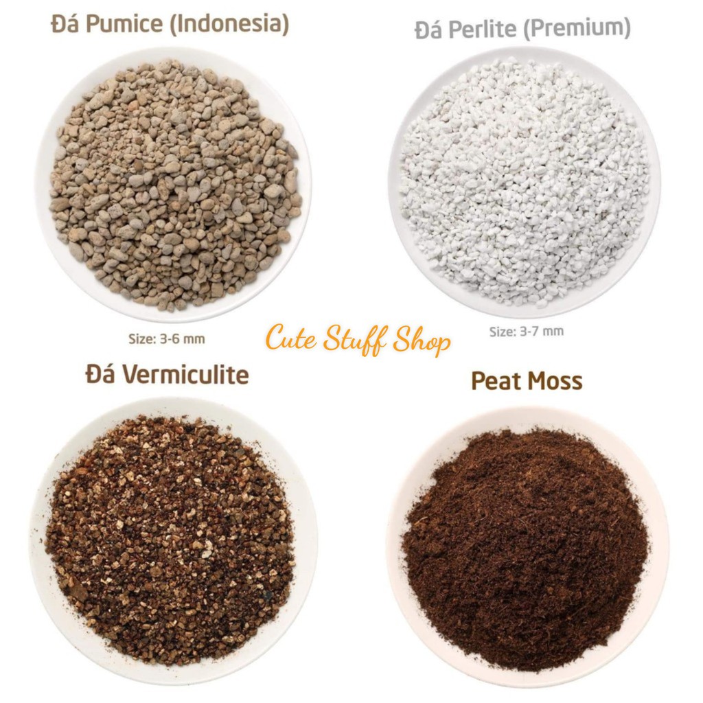 Đá Pumice Perlite Vermiculite Peat Moss Shopee Việt Nam
