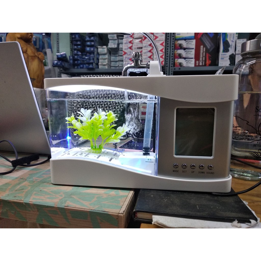 Bể cá mini kiêm đồng hồ để bàn siêu đẹp