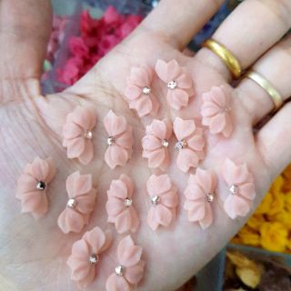 Hoa bột nửa bông( gạt ảnh xem màu)